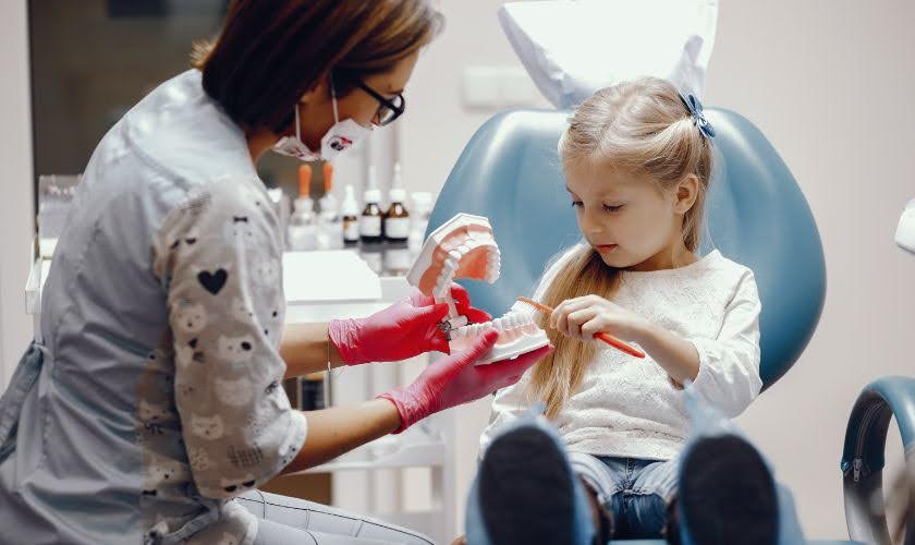  A dentist who provides children's dental care near you showing a denture to a little cure girl at the dentist's office.